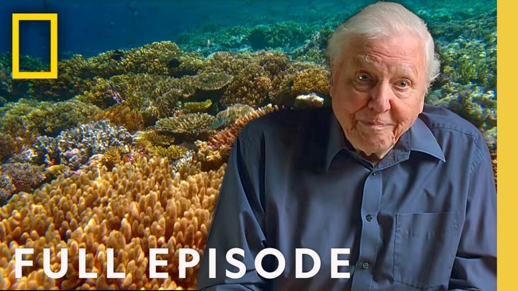 National Geographic: David Attenborough Says Less Than 3% of the Ocean Is Truly Protected - And the Recovery Where It Is Beats All Predictions
