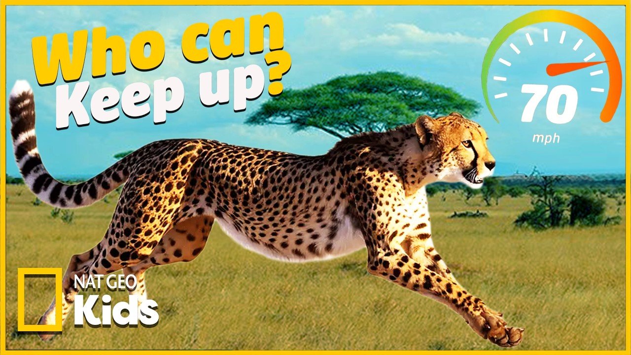 Nat Geo Kids: Cheetah vs. Antelope vs. Ostrich: Nat Geo Kids Runs the Wildest Race on the Savanna