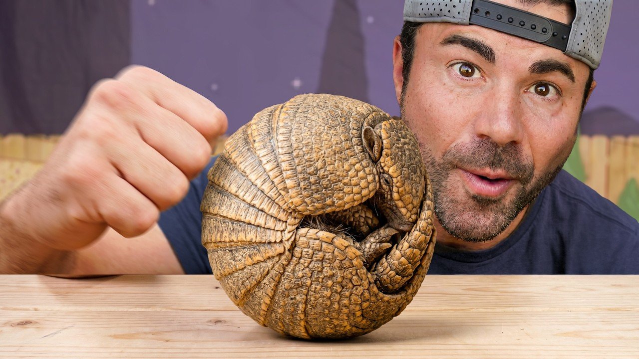 : A Capuchin Monkey Named Dexter Just Picked a Favorite at Mark Rober's Camp Crunch Labs