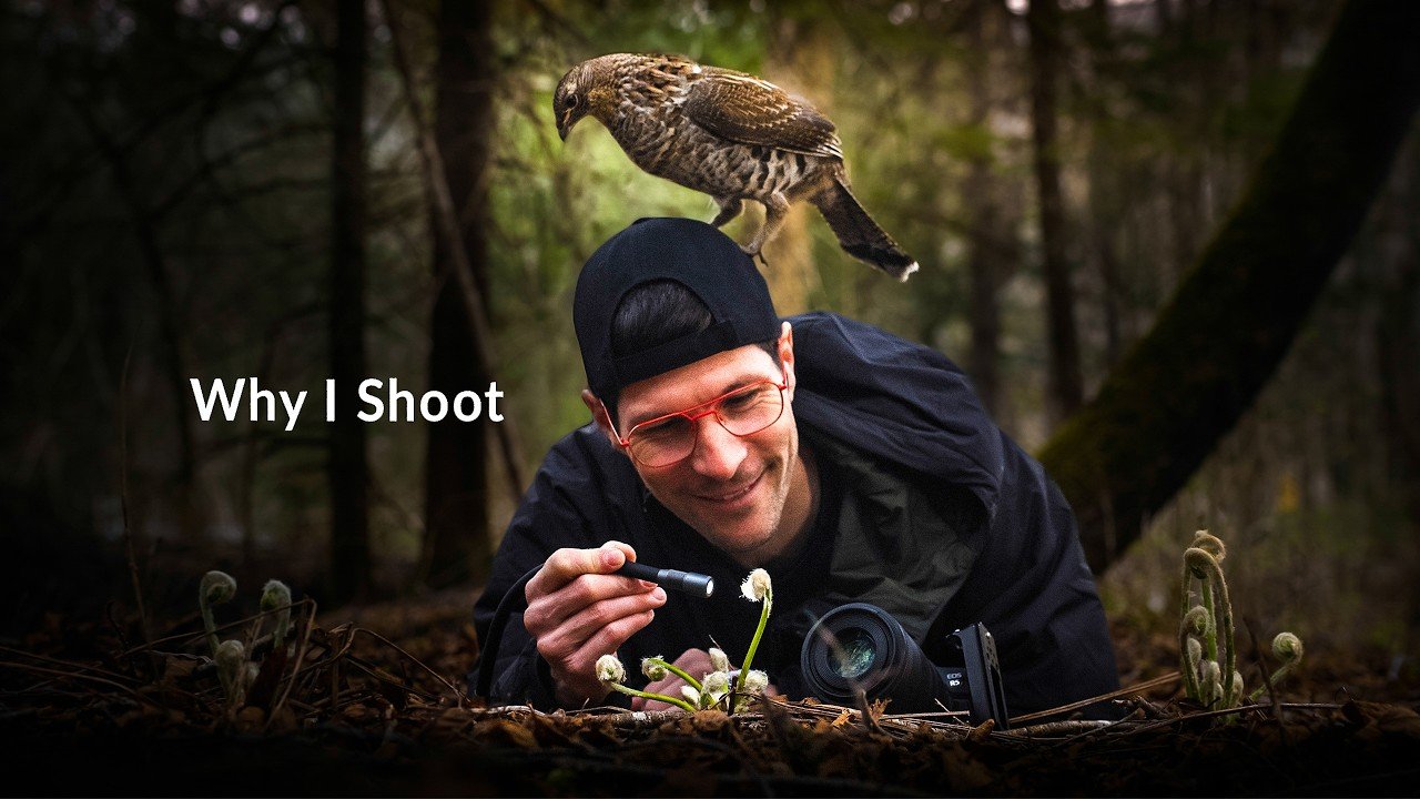 : The Macro Photographer Who Lights One Subject at a Time (and Why That Changes Everything)