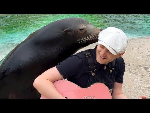 Plumes: Plumes Sings to Animals and the Results Are Pure Tender Magic