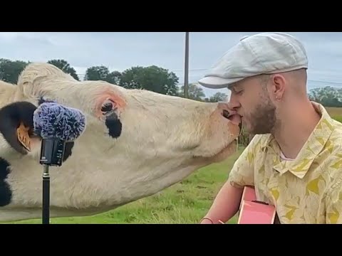 Plumes: Shelter Animals Get Serenaded and the Reactions Are Impossible to Miss