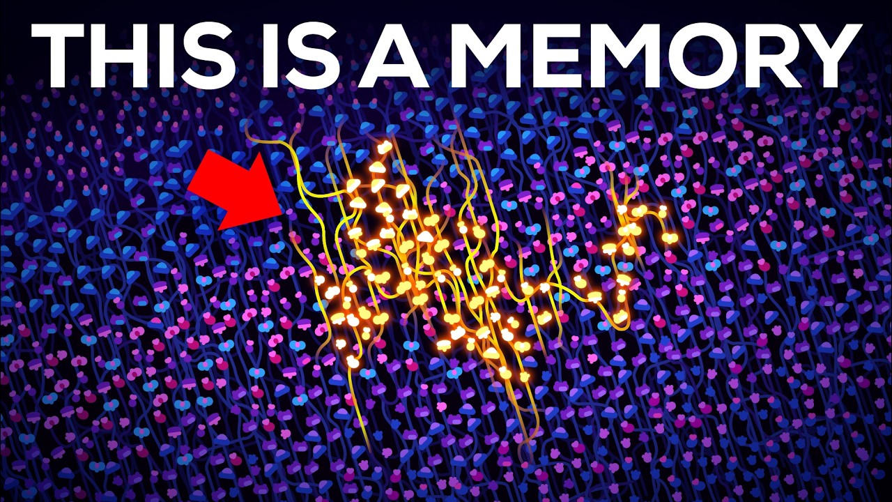 Kurzgesagt – In a Nutshell: How Your Brain Actually Stores a Memory (And Why Remembering It Changes It Forever)