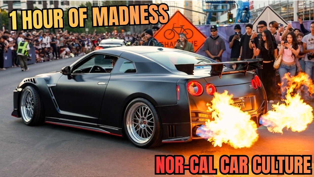 The Laughing Lion: Wekfest 2026 San Jose Roll-Out Delivered Everything a Car Show Should and Then Some