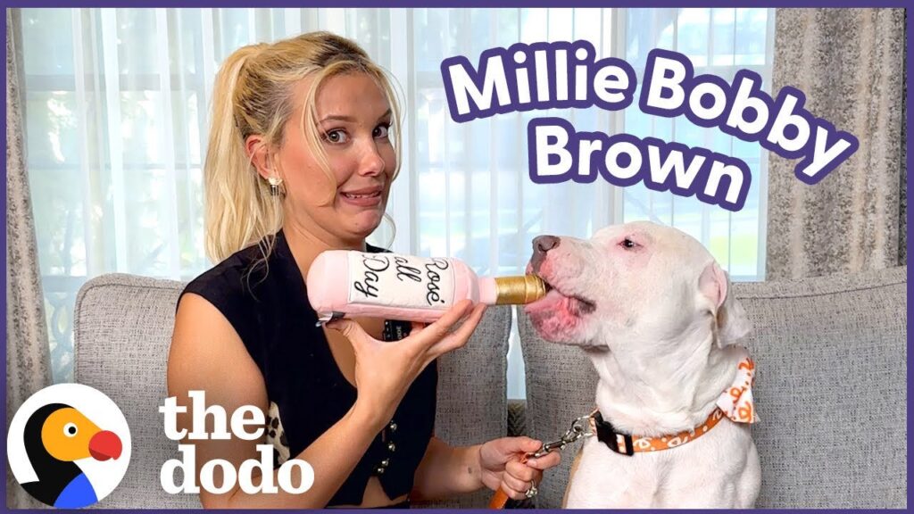 The Dodo: Millie Bobby Brown Went on a Date With a Dog Rescued From the LA Fires