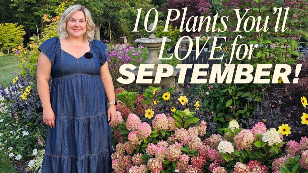 Hooked and Rooted: 10 Perennials That Keep a Zone 6B Garden in Full Bloom Through September