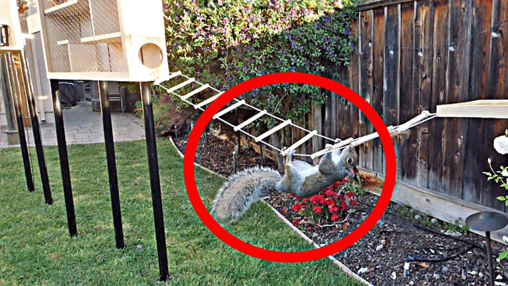 Mark Rober: Mark Rober Built an 8-Part Ninja Warrior Course for the Squirrels Raiding His Bird Feeder