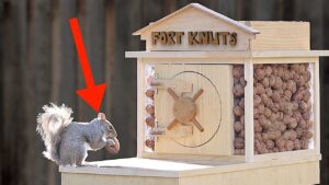 Mark Rober: Mark Rober Built a 9-Part Squirrel Obstacle Course to Guard a Walnut Vault and the Squirrels Won