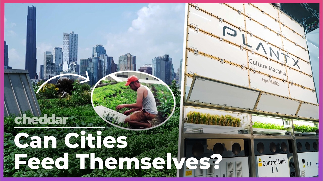 Cheddar: NYC Is Growing Food 11 Stories Up, and a 130-Year-Old Tractor Company Wants to Do It Without Soil