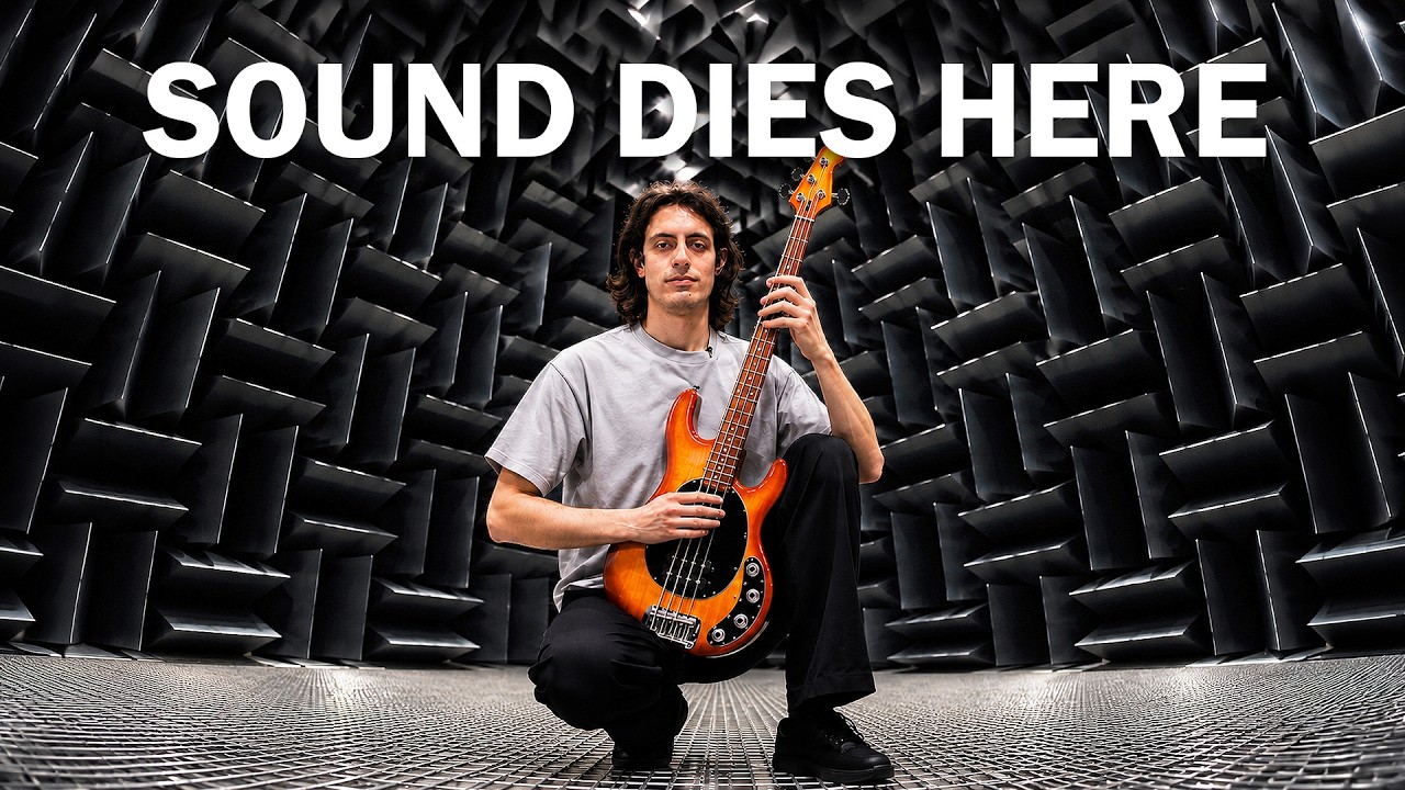 Davie504: Davie504 Played Bass in the World's Quietest Room and the Walls Had No Comeback