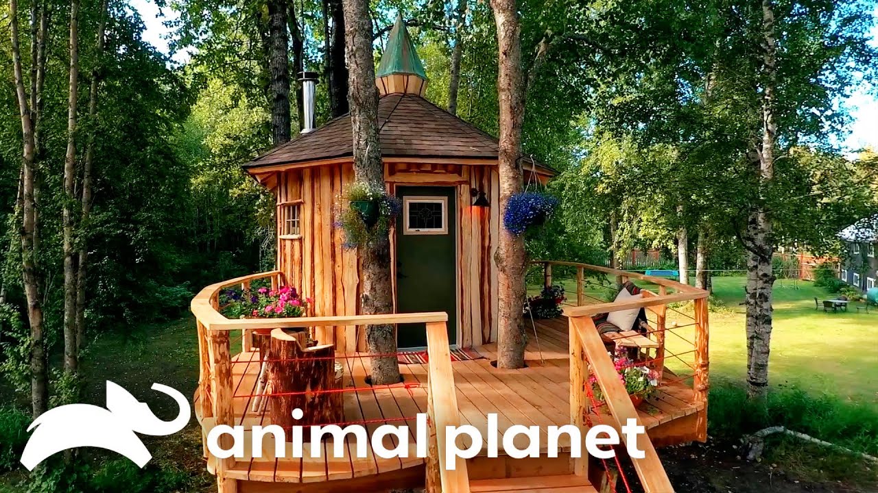 Animal Planet: Pete Nelson Built Shaquille O'Neal a Treehouse Speakeasy and Shaq Called It Better Than His $2 Million House