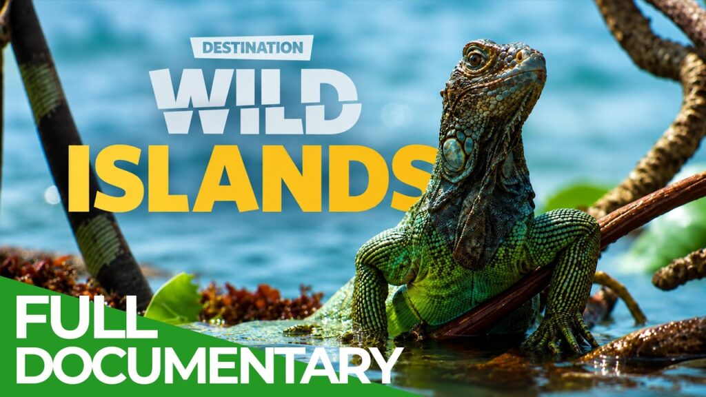 Free Documentary - Nature: Trinidad's Leatherback Turtles, Zanzibar's Coconut Crabs, and the Wild Islands You Never See in the Brochures