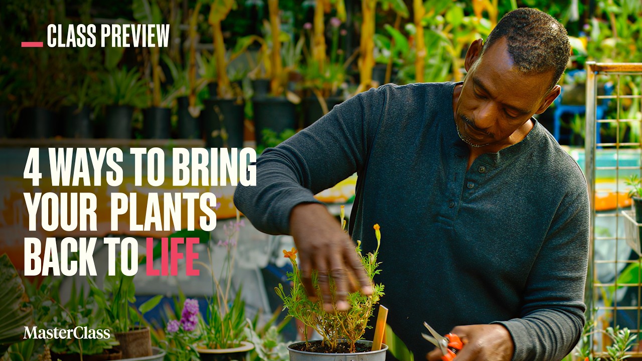 MasterClass: Ron Finley's Simple Trick for Keeping Basil Growing All Season
