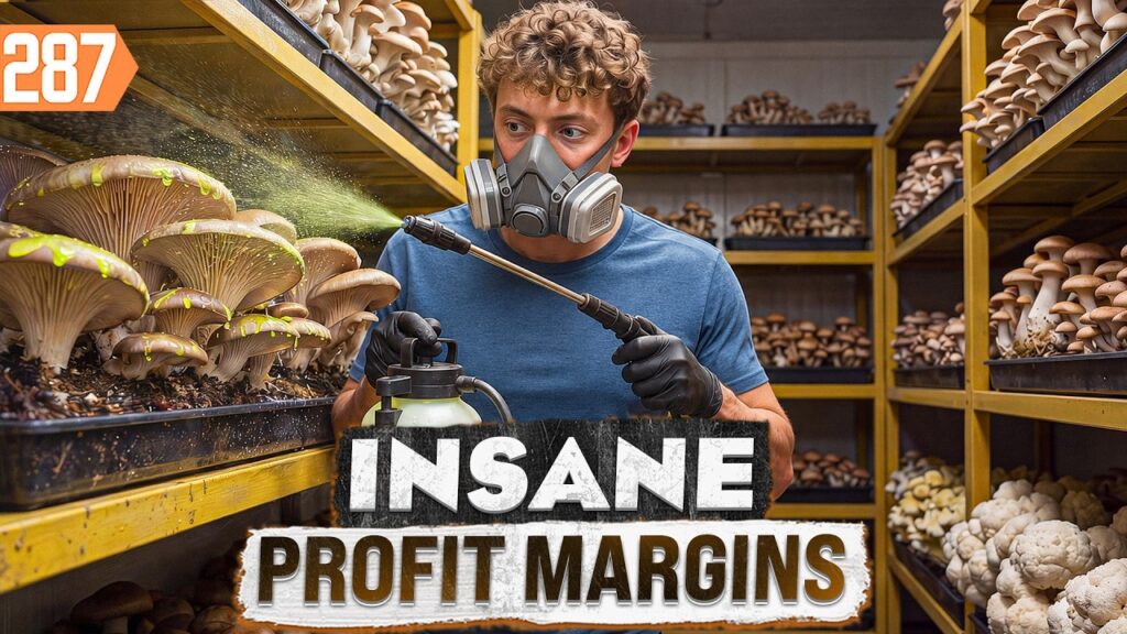 UpFlip: This 17-Year-Old Started Mount View Mushrooms From His Bedroom. Now It Pulls $10K a Month at Peak Season.