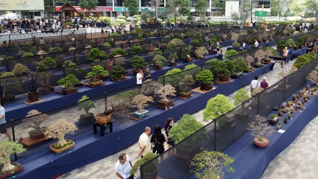 Bonsai Empire: Inside Malaysia's 10th World Bonsai Convention, Where Tropical Species Are Rewriting the Rules