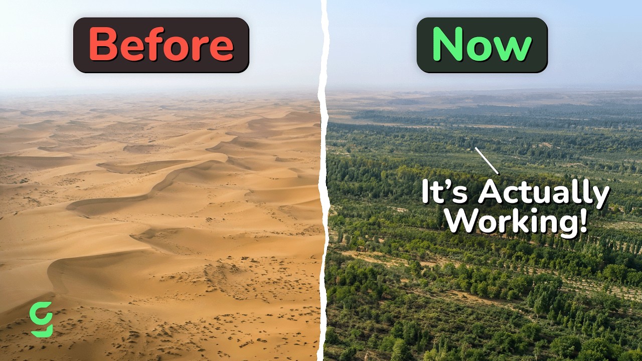 Good News: China's Great Green Wall Is Actually Working, Plus 8 More Good News Stories From September 2026