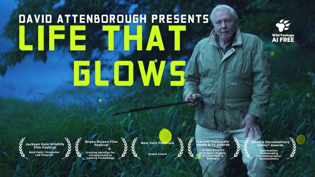 Terra Mater: David Attenborough Reveals the Secret World of Glowing Animals in Stunning 4K