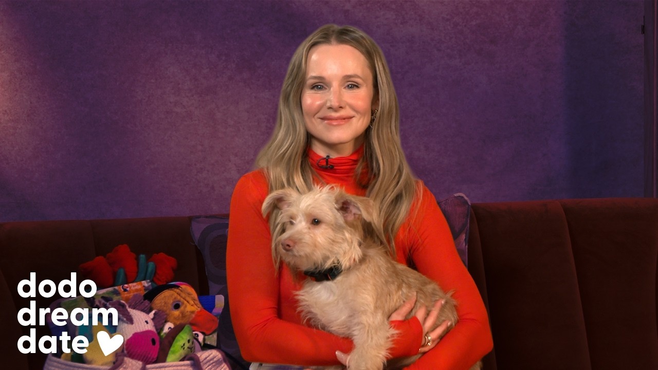 The Dodo: Kristen Bell Just Met Elmo the Rescue Dog and Immediately Refused to Put Him Down