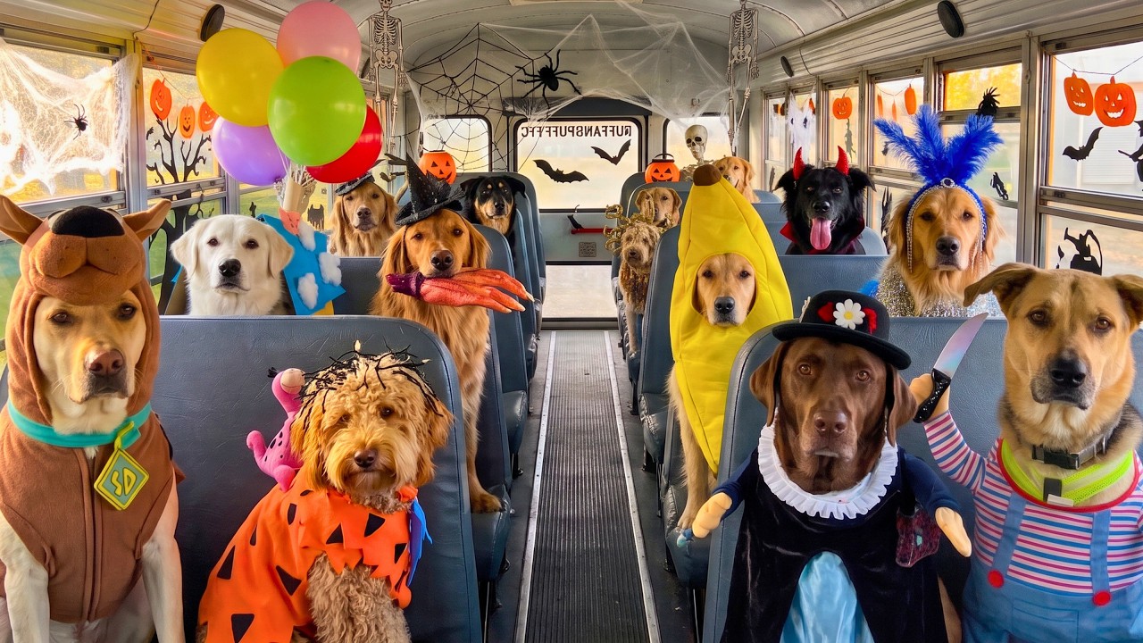 Happily: This Guy Quit His Job to Drive a School Bus Full of Dogs, and Halloween Just Got Chaotic