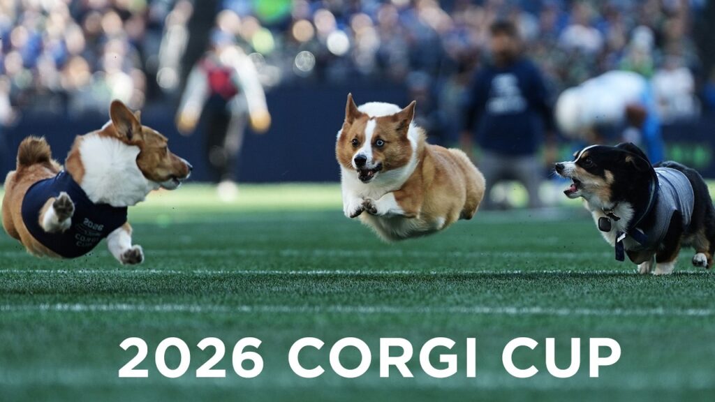 Seattle Seahawks: Banana the Corgi Wins the 2026 Corgi Cup at Lumen Field During Seahawks Halftime